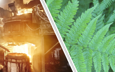 Accurate control models for EAF process